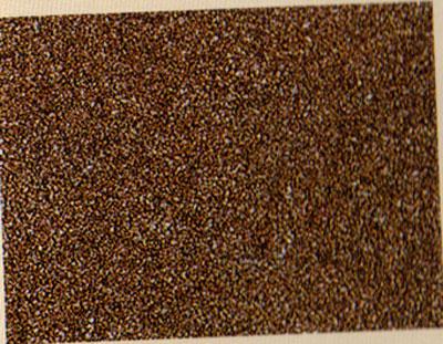 Sable brun - BUSCH 7523