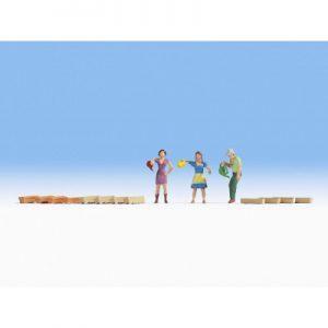 Arrosage de fleurs - NOCH 15570