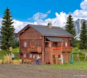 Chalet de Montagne - KIBRI 38019