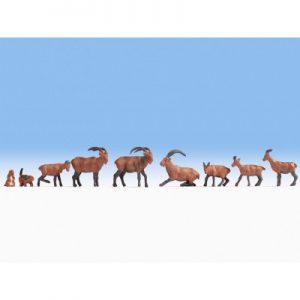 Chamois - NOCH 15742