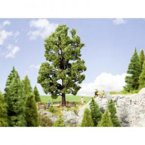 Châtaignier - NOCH 21802