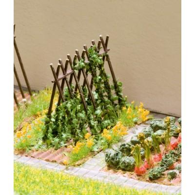 Haricots - NOCH 14200