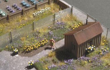 Marguerites - BUSCH 1207