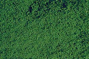 Filet de mousse vert foncé - HEKI 1602